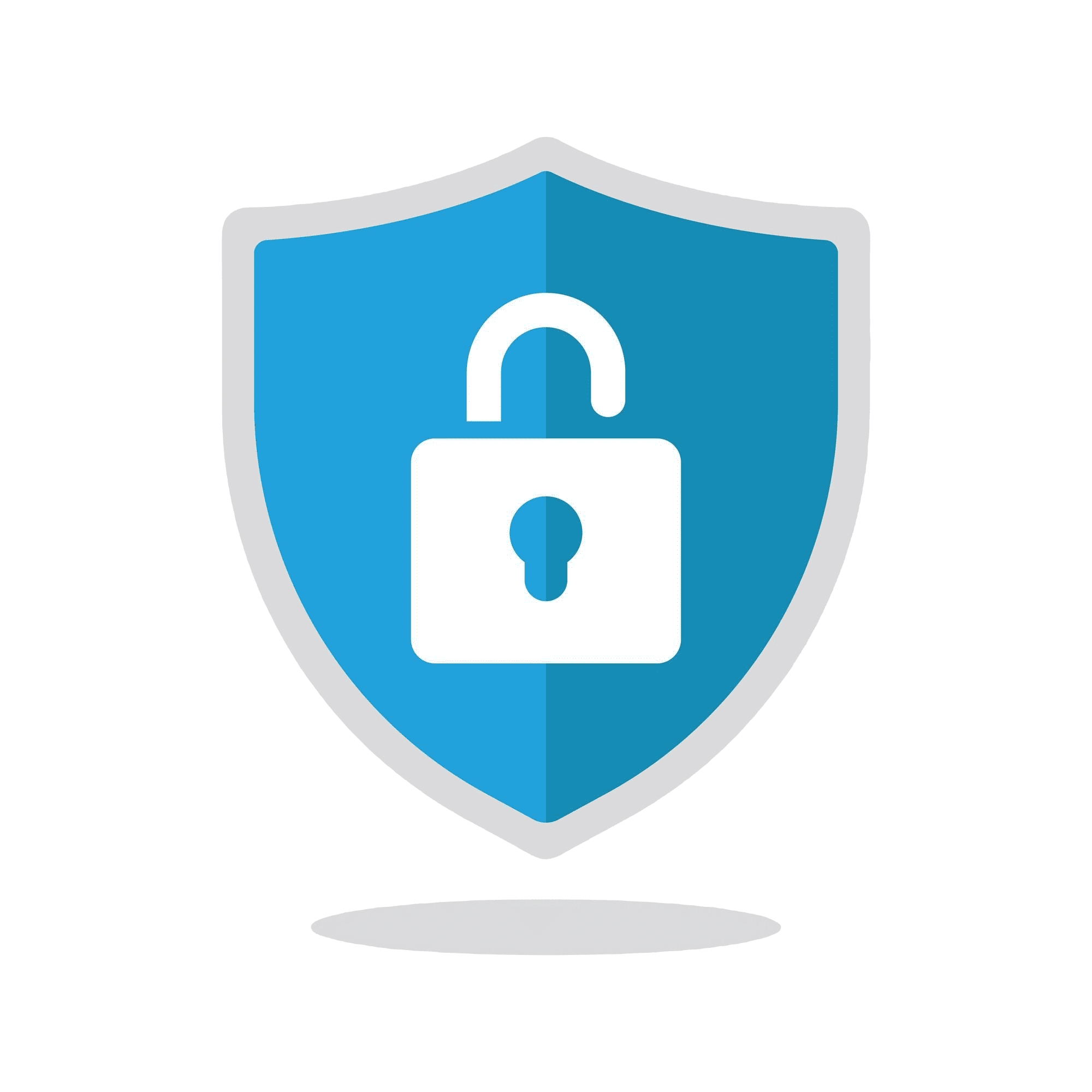 privacy and security